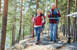 Скандинавская ходьба: как правильно ходить
